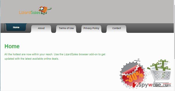 LizardSales ads snapshot LizardSales ads snapshot