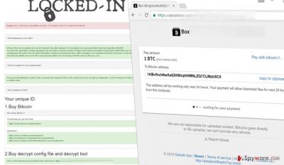 Picture of Locked-In ransom note and payment page