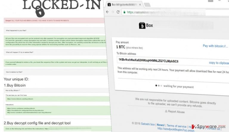 Picture of Locked-In ransom note and payment page
