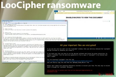 LooCipher ransomware 