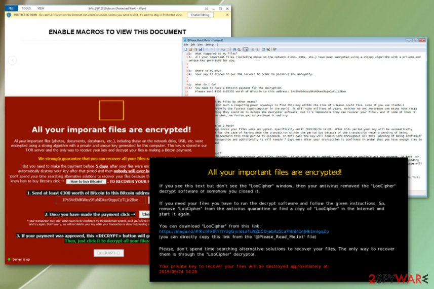LooCipher ransomware virus
