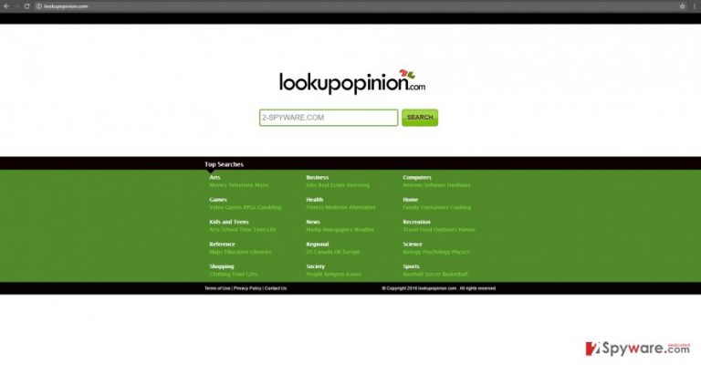 The image revealing Lookupopinion.com