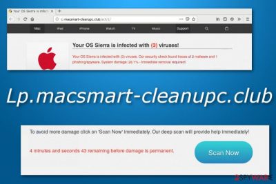 Lp.macsmart-cleanupc.club scam