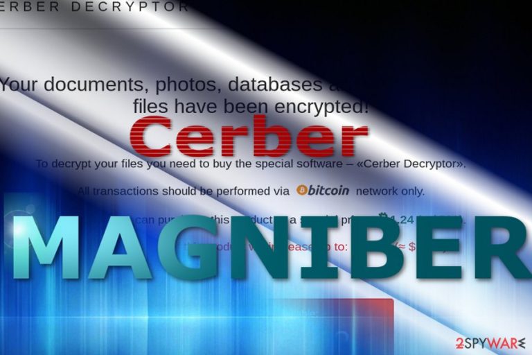 The image reflecting Magniber payment site