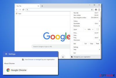 malwarebytes google chrome user data malwarebytes google chrome user data