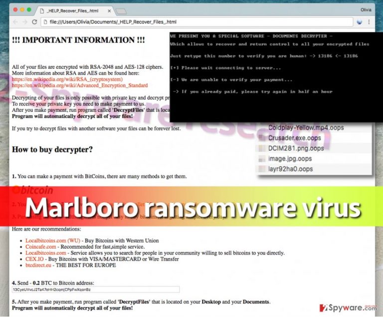 Screenshot of Marlboro virus