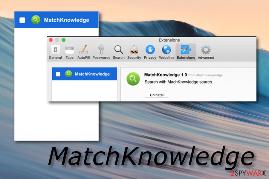 MatchKnowledge virus