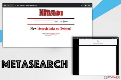 MetaSearch