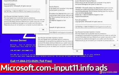 Image showing misleading Microsoft.com-input11.info alerts
