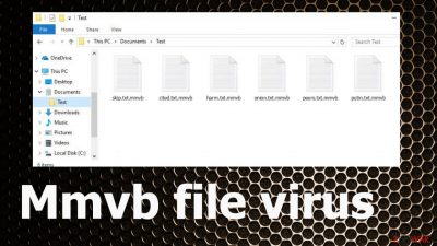 Mmvb file virus