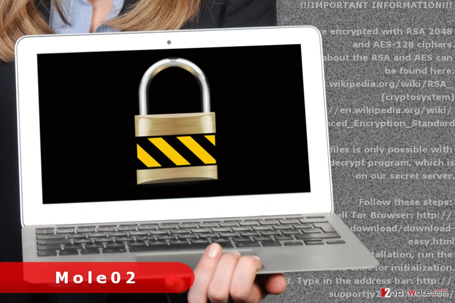 The picture of Mole02 ransomware virus