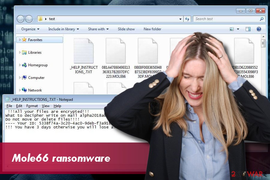 Mole66 CryptoMix ransomware example