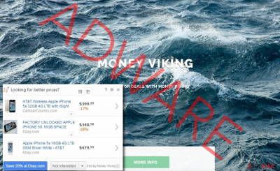 Money Viking ads