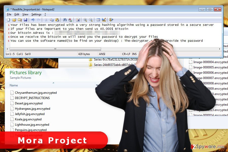 The picture of Mora Project ransomware virus