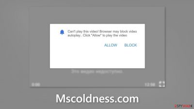 Mscoldness.com