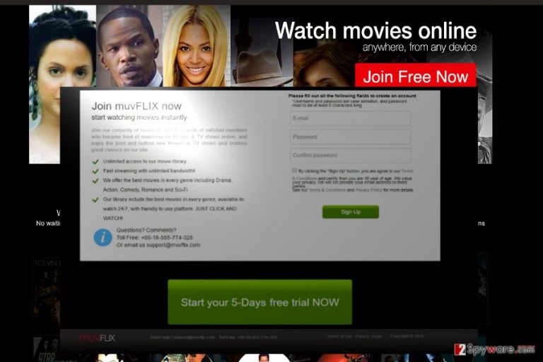 The example of Muvflix domain