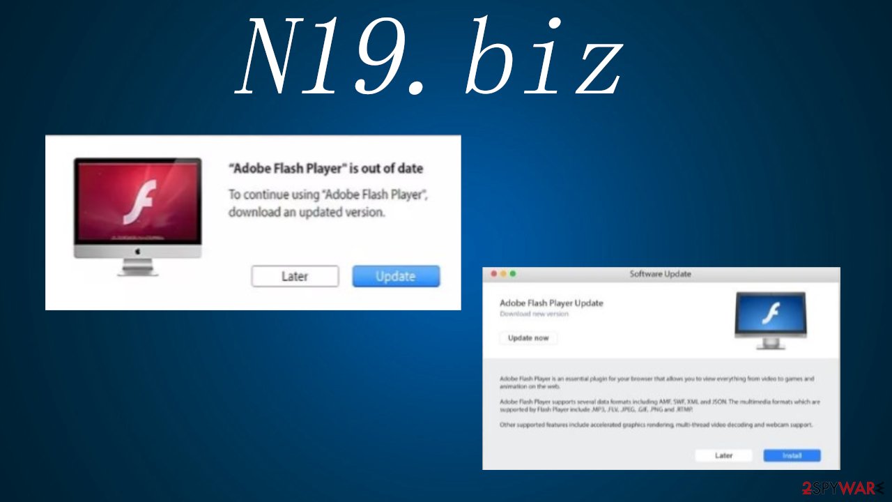 N19.biz notifications