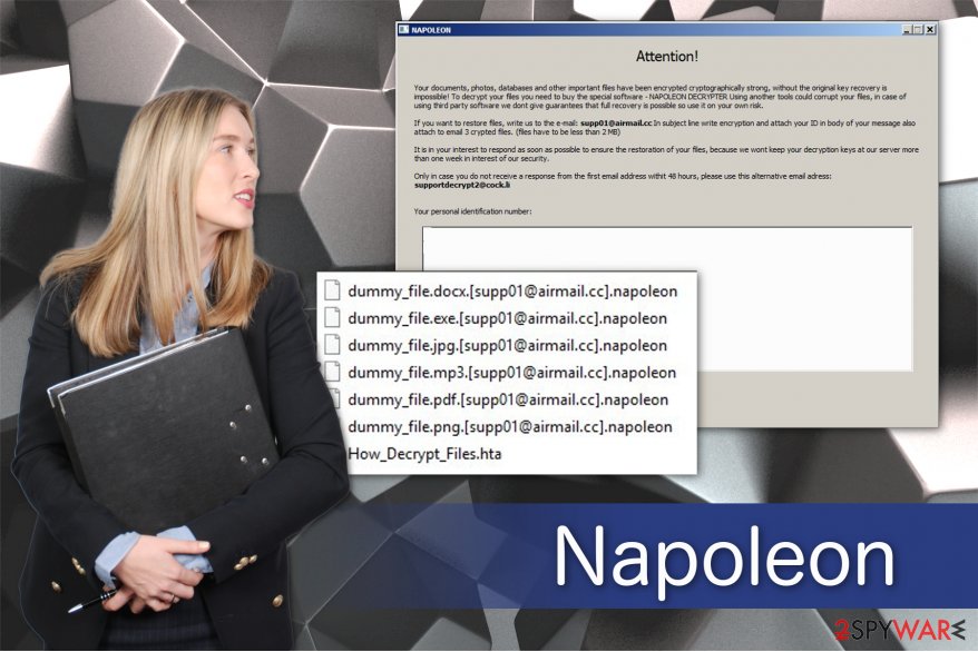 Napoleon ransomware virus illustration