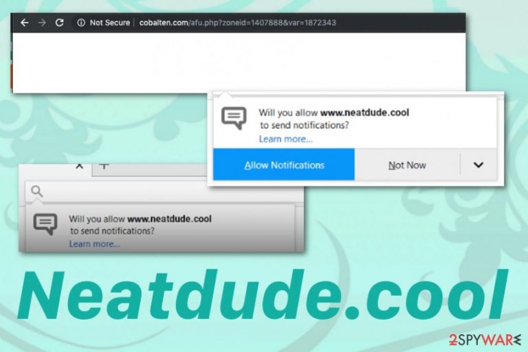 Neatdude.cool browser redirect