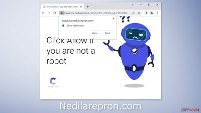 Nedilarepron.com