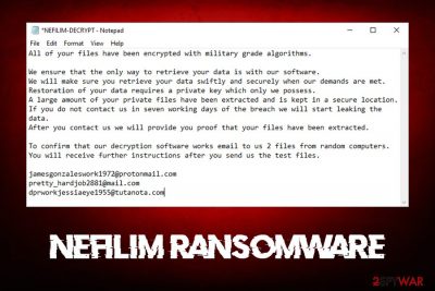 Nefilim ransomware