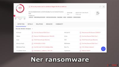 Ner ransomware