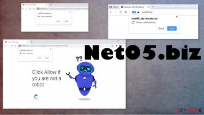 Net05.biz