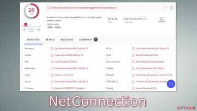 NetConnection