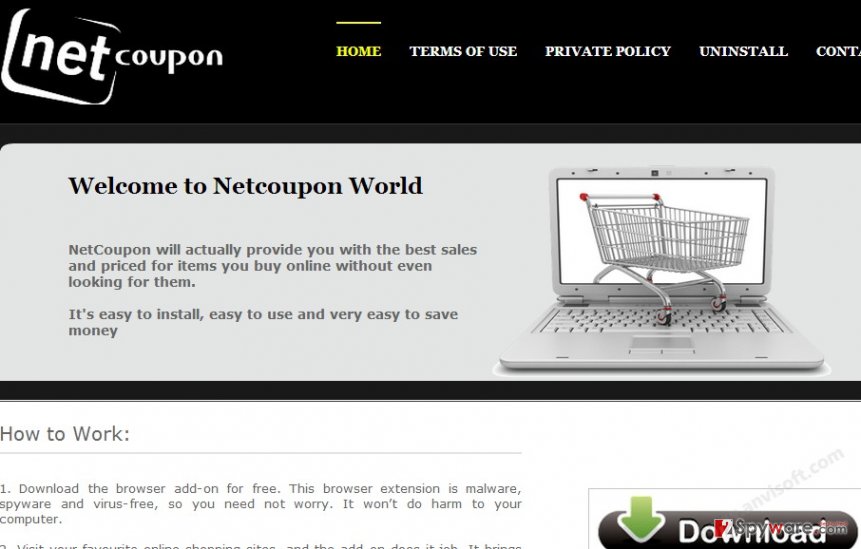 NetCoupon virus snapshot NetCoupon virus snapshot