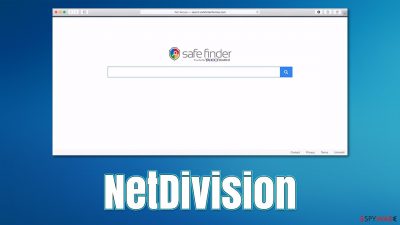 NetDivision virus