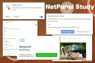 NetPanel Study