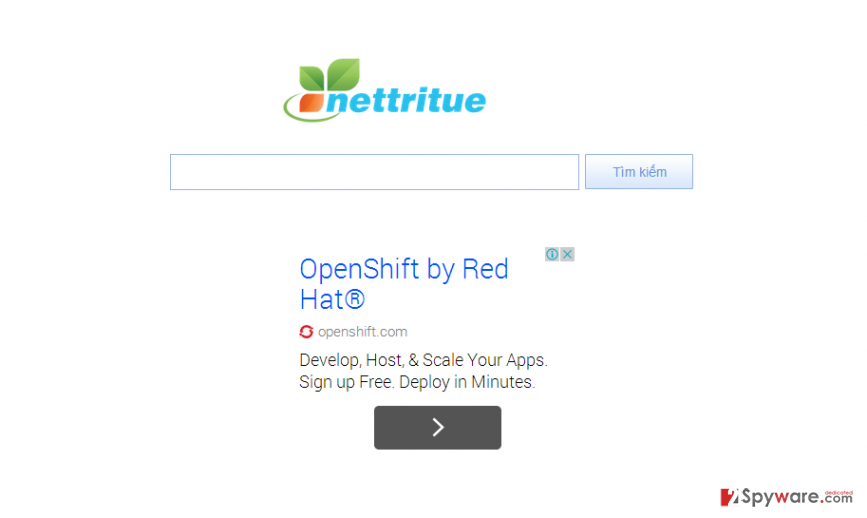 Nettritue.com snapshot Nettritue.com snapshot