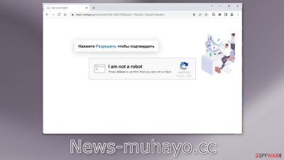 News-muhayo.cc