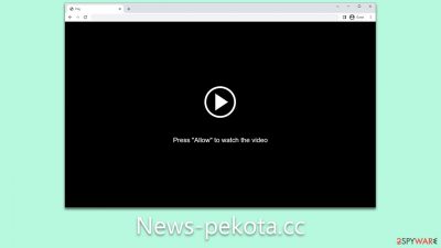 News-pekota.cc