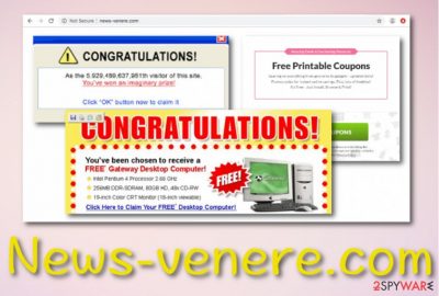 News-venere.com