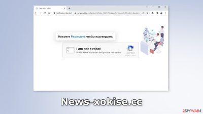 News-xokise.cc