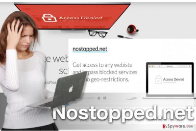 Image of the Nostopped.net official website