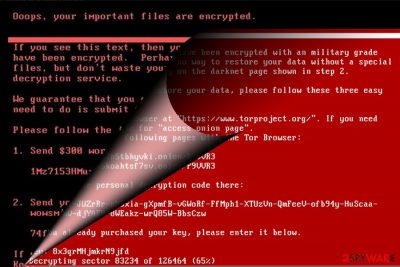 The image illustrating NotPetya virus