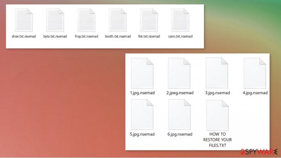 Nsemad ransomware virus