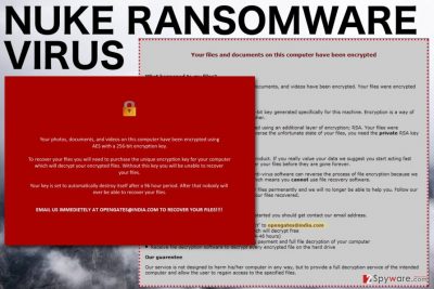 Image of the Nuke ransomware virus