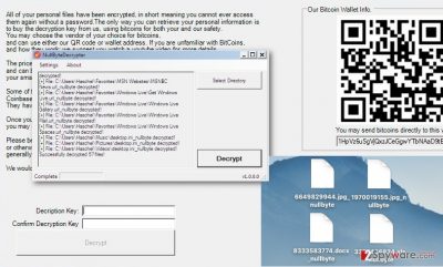 An image of the Nullbyte ransomware virus