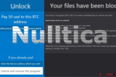 The image of Nulltica GUI