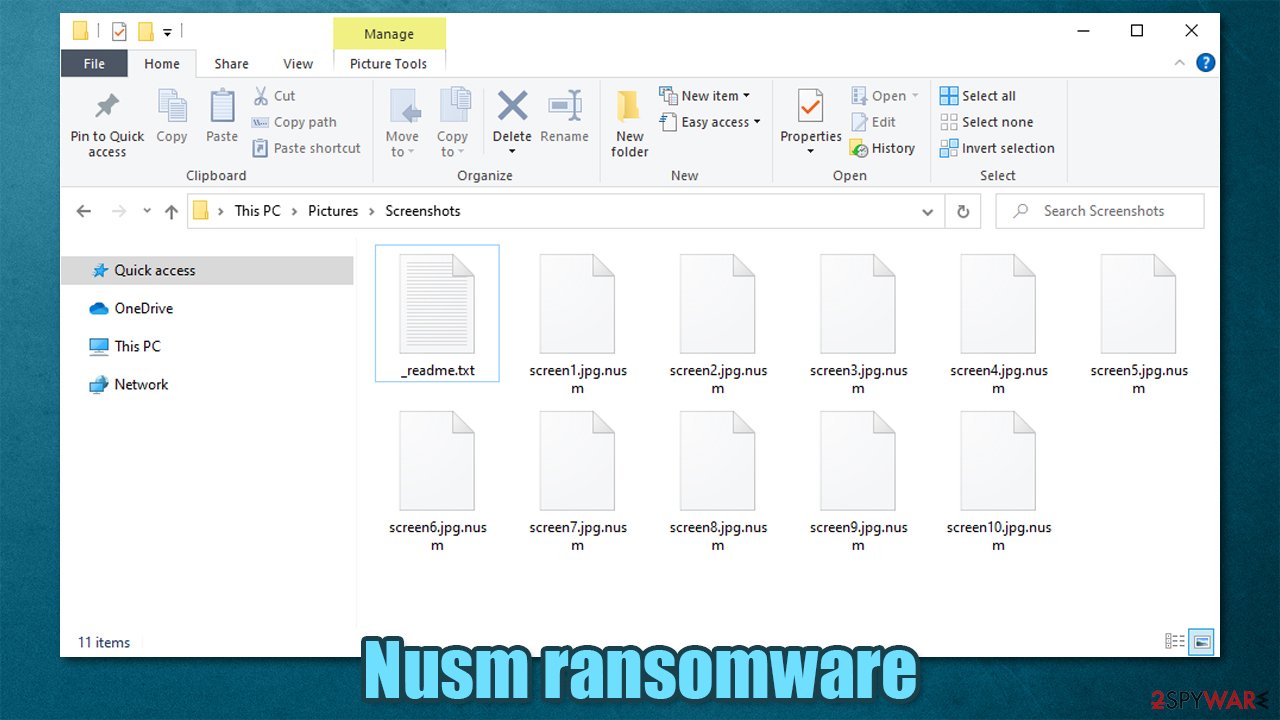 Nusm locked files