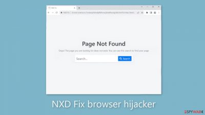 NXD Fix browser hijacker