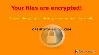 The example of OpenToYou virus