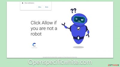 Openspecificwhite.com