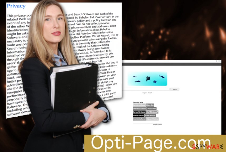 Opti-Page.com fake search engine