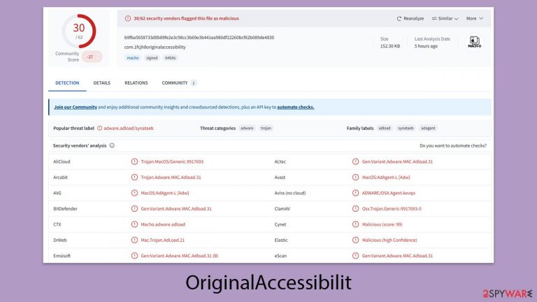 OriginalAccessibilit 