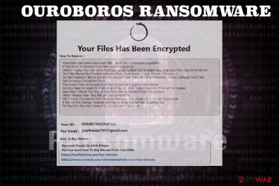 Ouroboros ransomware