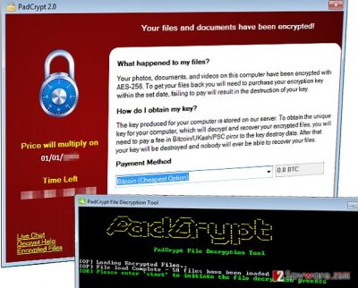 PadCrypt ransomware